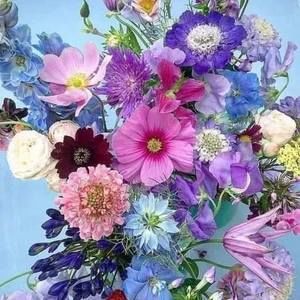 Meet your Posher, Sonny cindy